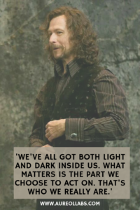 Inspirational Quotes Harry Potter
